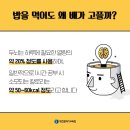 국제어학당학원