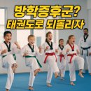 안현비룡태권도장 이미지