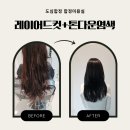 (주)힐링파마 | 도심합정 미용실 후기💇‍♀️ 주세본 원장님 레이어드컷+염색으로 이미지 체인지 성공!