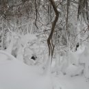 눈꽃여행 이미지