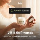 소울랩스 | 구글의 무료 AI 마케팅 툴, 포멜리(Pomelli) - 브랜드 설정부터 제품 화보 생성까지 한번에