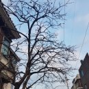 나우행정사 이미지