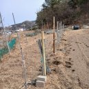 신흥1농장 이미지