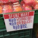 짝짜꿍 네이버블로그