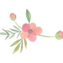 일미참치앤스시 이미지