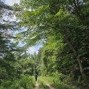 경기둘레길 양평29코스 이미지