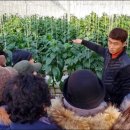 화순슈퍼 네이버블로그