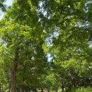 [서울 근교 나들이] 인천대공원 나들이 후기🌳 자전거, 산책, 피크닉까지!