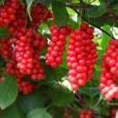 이솝한의원 이미지