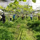 김동언농장 이미지