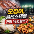 연세밝은맘정신과의원 | 봄 제철 갑오징어, 지금 먹어야 하는 이유 | 여의도정신과