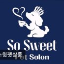 쏘스윗펫살롱 | (성남, 애견미용, 추천!) 쏘스윗펫살롱 성남 애견미용, 전문성과 친절함이 돋보인다