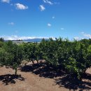 하예동-10 이미지