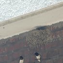 죽봉마을회관 이미지