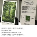 색을 만들려고 밤새 물감을 뒤섞던 날들 연필이 몽땅 닳도록 선만 그어대며 역동성을 끄집어내려던 날들