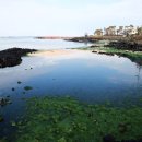 신흥리방사탑 1호 이미지