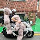 삼치기 Daum카페