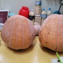 대왕농장 이미지