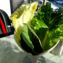 군자역맛집 고공 중곡점 리얼후기