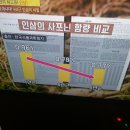 장생인삼