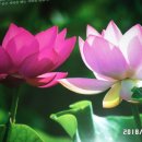 허*열