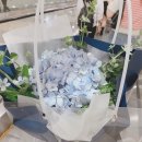 다담과일 이미지