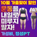 더 피티 이미지