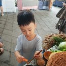 홍주발효식품