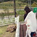 함평양서파충류생태공원 티스토리