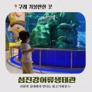 섬진강어류생태관 | 구례 아이와 가볼만한 곳 - 섬진강어류생태관 방문후기 🐟