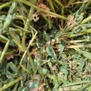 (주)빙키 이미지