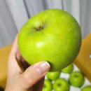 기성농장 | ​영주사과 추천 : 제철과일 아오리사과 솔직 후기! 농가직송 과일선물로 딱이에요