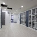 타잔비엔지 이미지