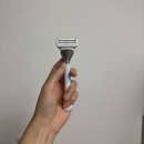 쁘띠플러스의원 | (비장) 쨈 왁싱과 브라질리언 레이저제모에 대한 고찰 - 젠틀맥스프로플러스