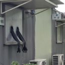 부광한의원 이미지