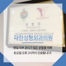 파란성형외과의원 이미지