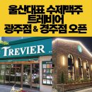 트레비브로이주