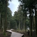 제주도 뚜벅이 여행 동쪽버스투어 정말 알찼던 제주원데이투어 내돈내산 후기