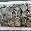 안양바다낚시터 이미지