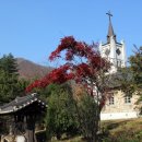 창원 성요셉 성당 이미지