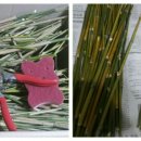 후포경로당 이미지