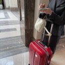 스텔라이호텔 이미지