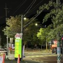 장미셀프세차 이미지