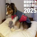 뽀그리독 | 알파아이콘 에어라이너 레트로스키 사이즈 1L 2025 F/W 피치앤크림 구매후기