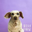 뭉치네 미용실 이미지