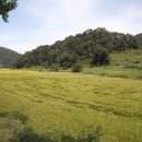 임진강글램핑 이미지