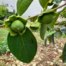 주월농장 이미지