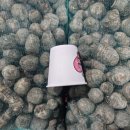 곡성-244 이미지