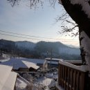 쑥티마을 이미지