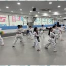 경희대 SJC 태권도장 이미지